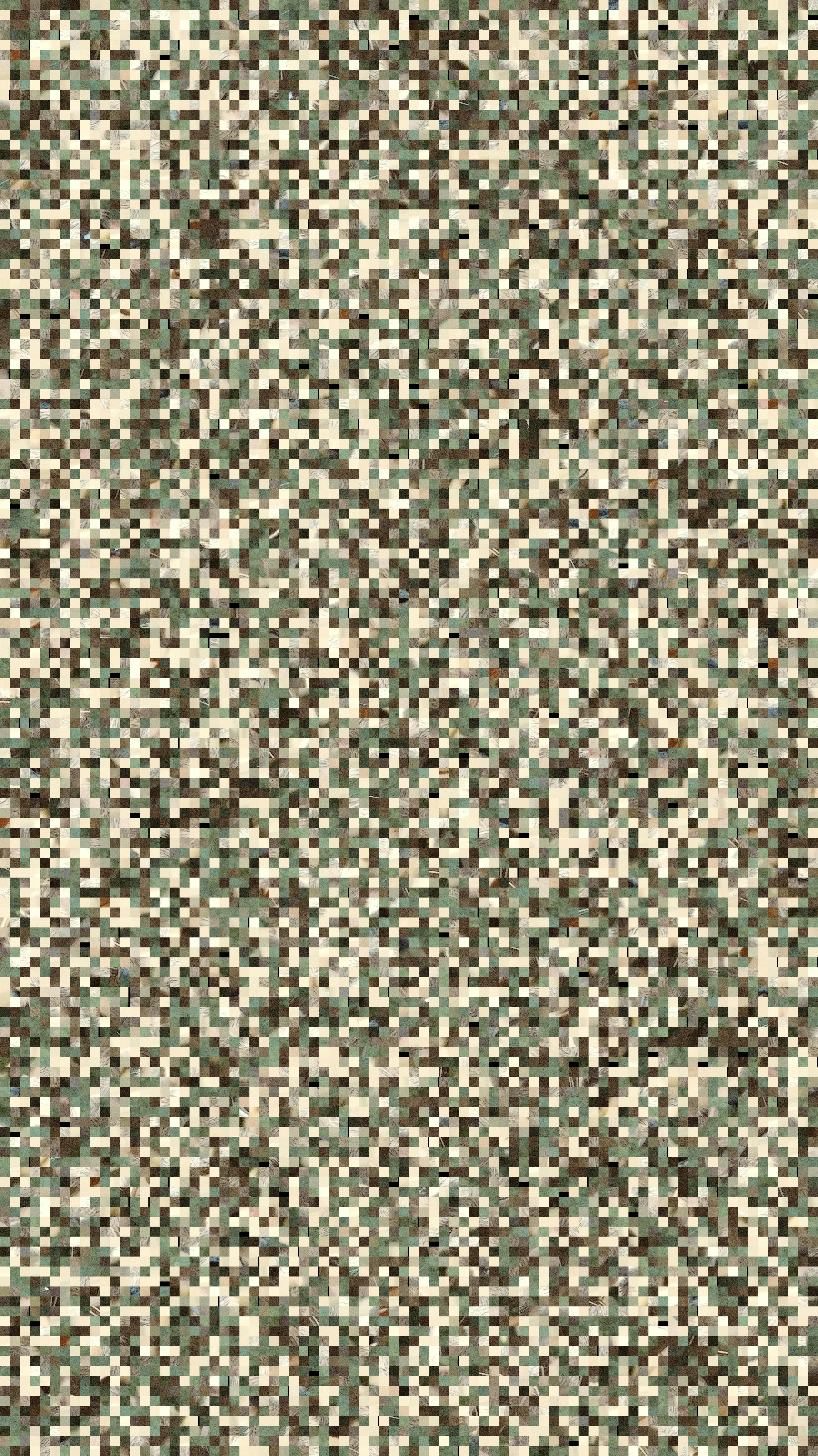Demo image